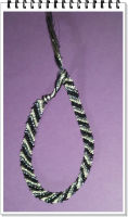 Bracelet Br&eacute;silien